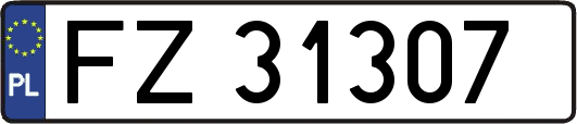 FZ31307