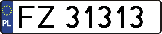 FZ31313
