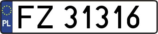 FZ31316