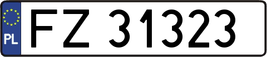 FZ31323