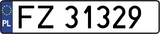 FZ31329