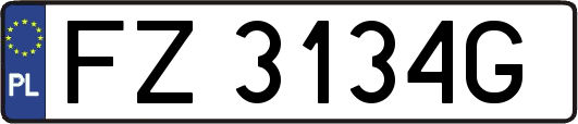 FZ3134G