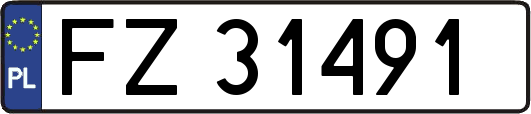 FZ31491