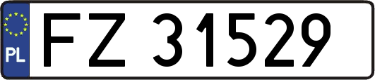 FZ31529