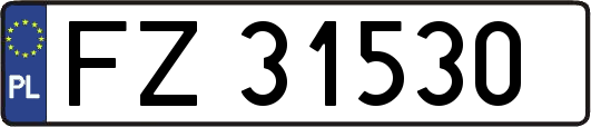 FZ31530
