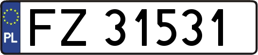 FZ31531