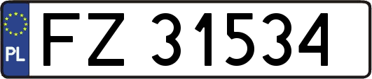 FZ31534