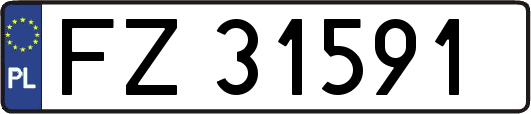 FZ31591