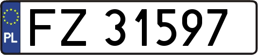 FZ31597