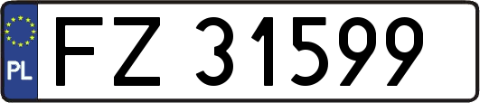 FZ31599