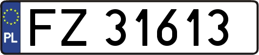 FZ31613
