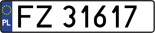 FZ31617