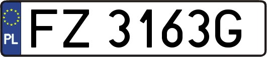 FZ3163G