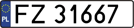 FZ31667