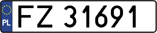 FZ31691