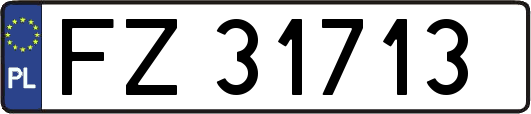 FZ31713