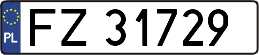 FZ31729