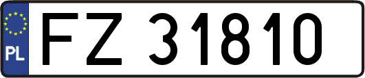 FZ31810