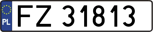 FZ31813