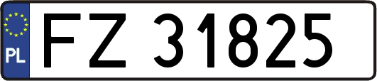 FZ31825