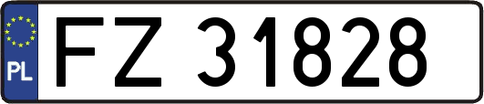 FZ31828
