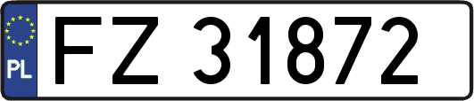 FZ31872