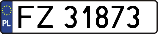 FZ31873