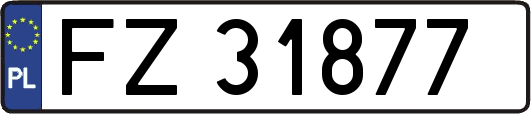 FZ31877