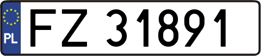 FZ31891