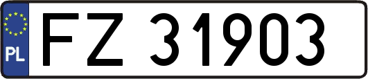 FZ31903