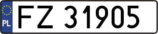 FZ31905