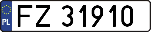 FZ31910