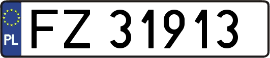 FZ31913