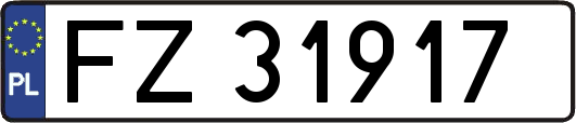 FZ31917