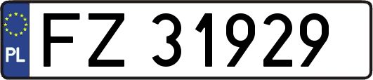 FZ31929