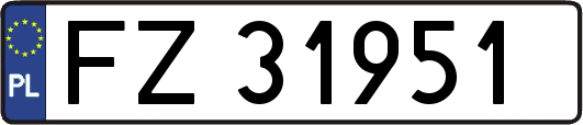 FZ31951