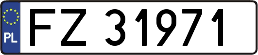 FZ31971