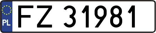 FZ31981
