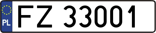 FZ33001