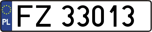 FZ33013