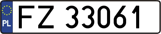 FZ33061