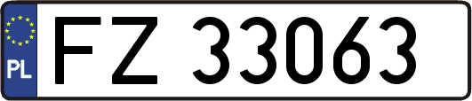 FZ33063