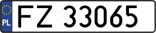 FZ33065