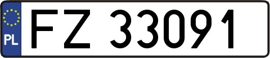 FZ33091
