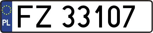 FZ33107