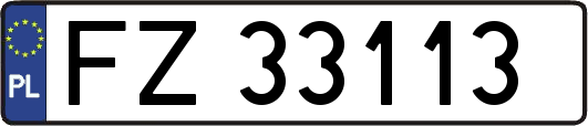 FZ33113