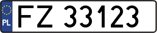 FZ33123
