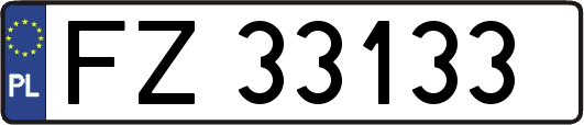 FZ33133