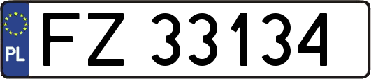 FZ33134