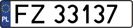 FZ33137